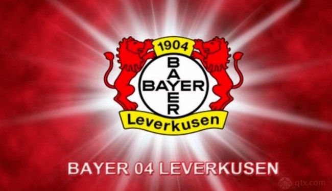 主业技能 主业技能